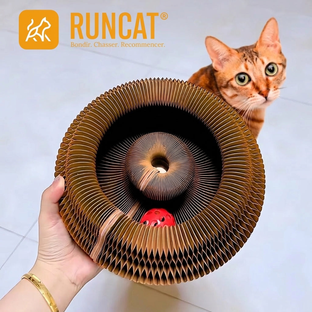 Griffoir en carton RUNCAT présenté à la main avec un chat curieux