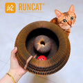 Griffoir en carton RUNCAT présenté à la main avec un chat curieux